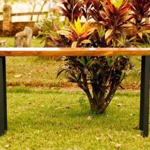 Mesa Begônia